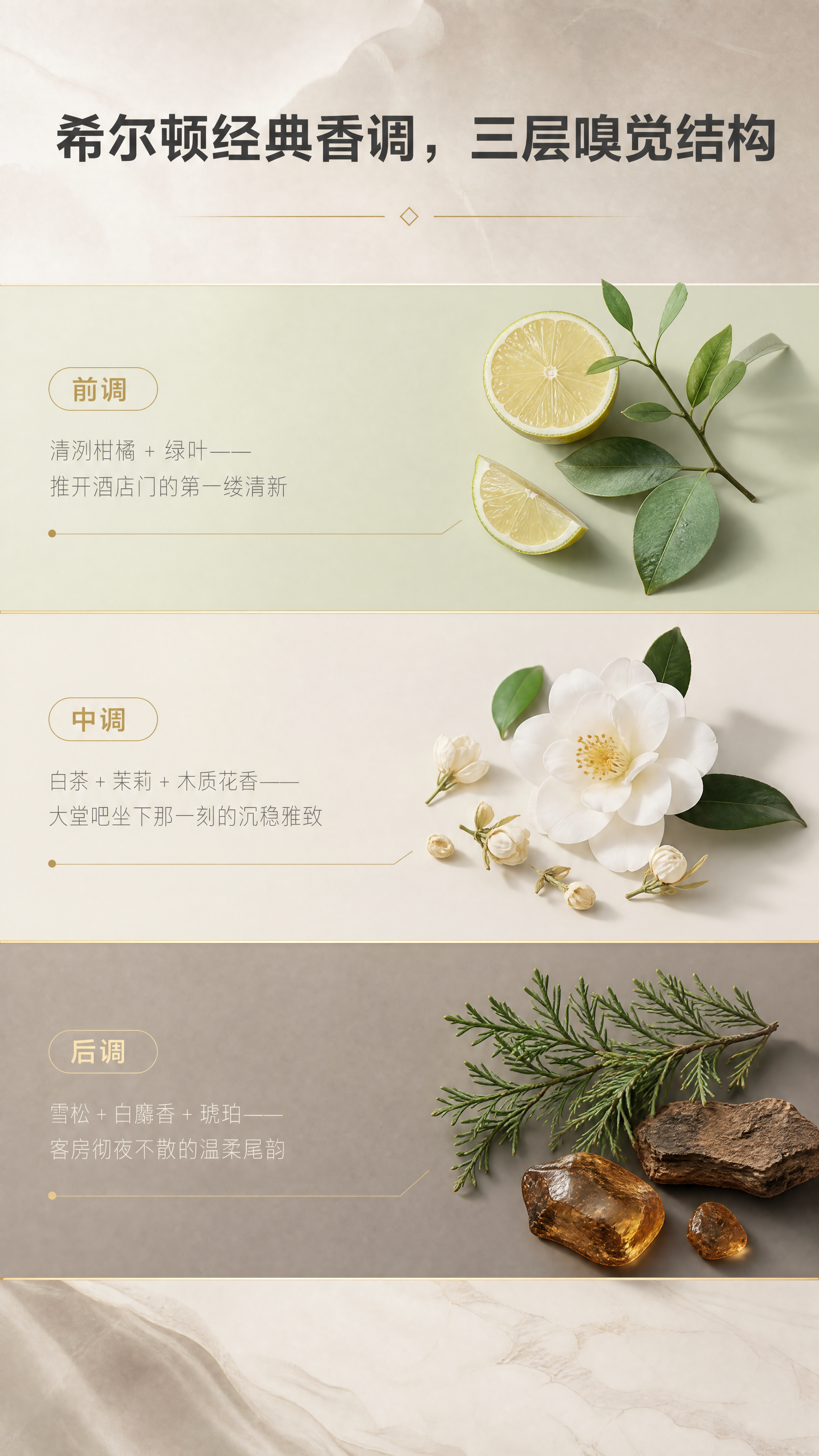 [商品] 本页产品不出镜，纯香调表达。 [画面] 香调解析页，… - 图片创意预览