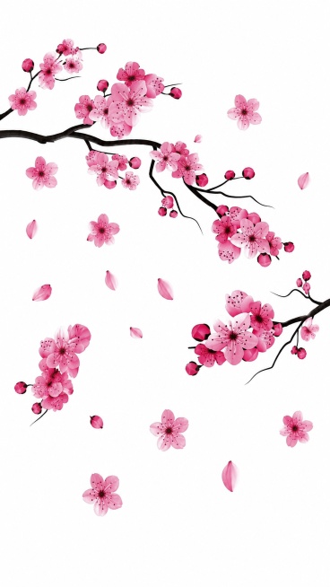 提取杯子上的粉色桃花图案，生成一张正面平面图，保持原有图案不变，填补图案中空缺的位置，一比一还原图案，图案保持高清清晰，纯白色背景预览效果