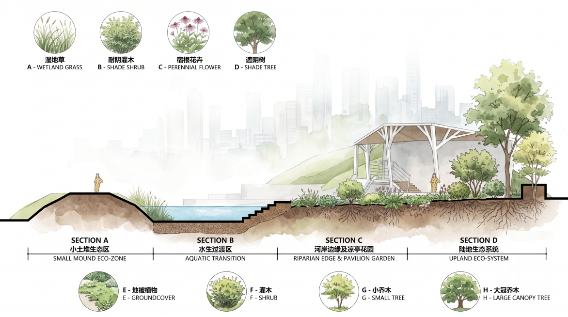 基于提供的景观剖面图，重绘生成清新写实水彩风格景观剖面图，中间绘制景观植物剖面，剖断线黑色加粗，背景为渐隐的城市天际线，保持前后层次清晰，纵深感自然。在图片下方用横向轴线划分出不同区域的生态分区，用黑预览效果