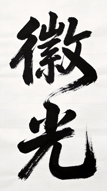 参考图片的毛笔书法字体风格，设计“徽光”两个字，上下组合，笔画自然连接融合在一起，保持参考图的厚重粗犷毛笔笔触，白色宣纸背景黑色书法字体预览效果
