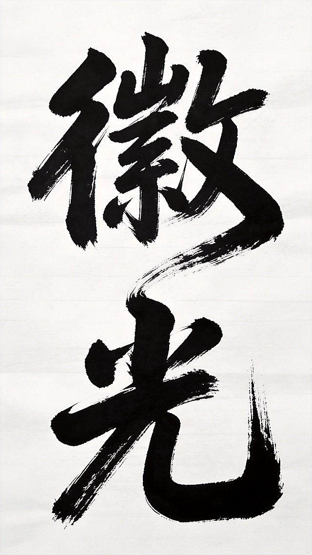 参考图片的毛笔书法字体风格，设计“徽光”两个字，上下组合，笔画自然连接融合在一起，保持参考图的厚重粗犷毛笔笔触，白色宣纸背景黑色书法字体