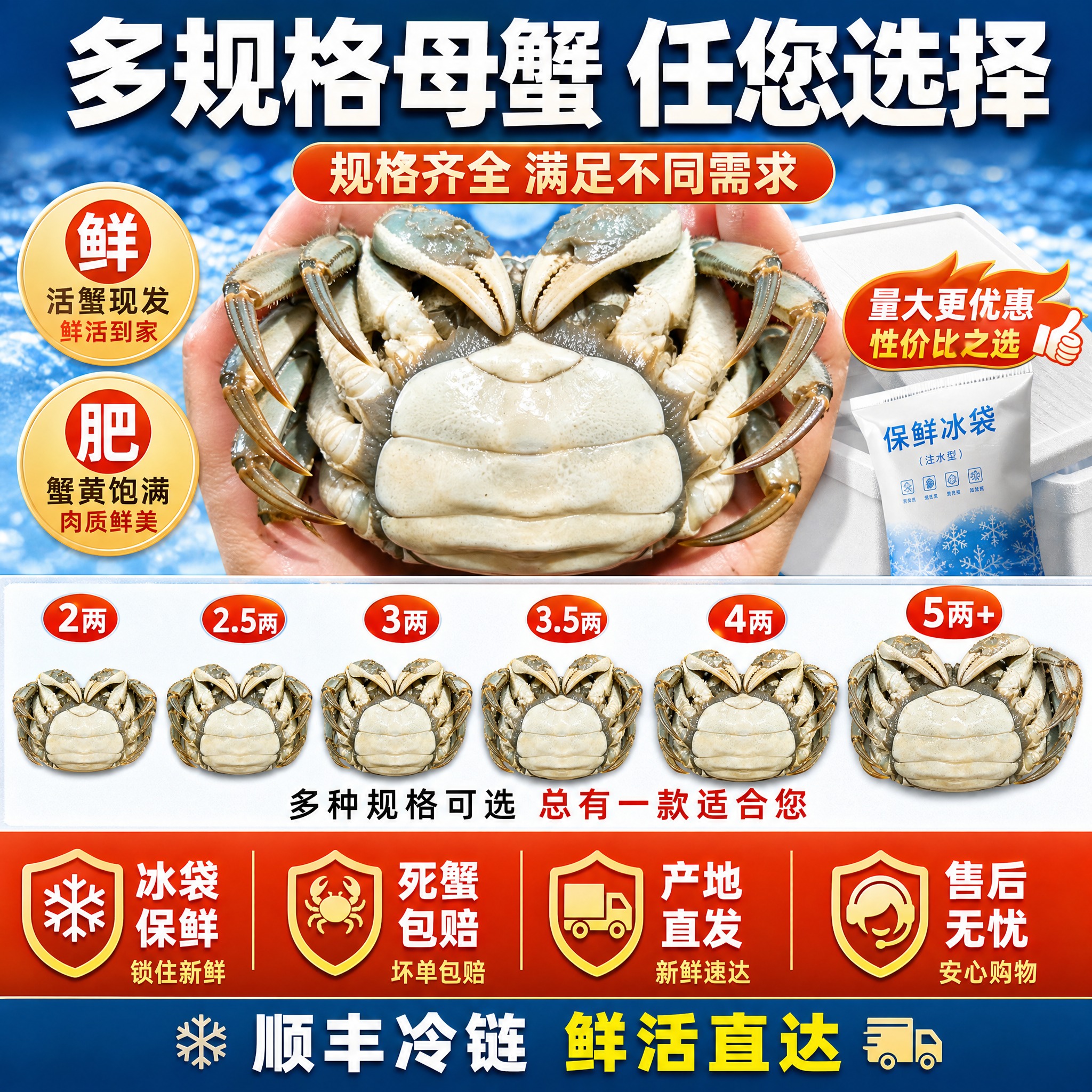 [主图-6] 母蟹规格与售后保障图 突出规格齐全 死蟹包赔 拼… - 图片创意预览