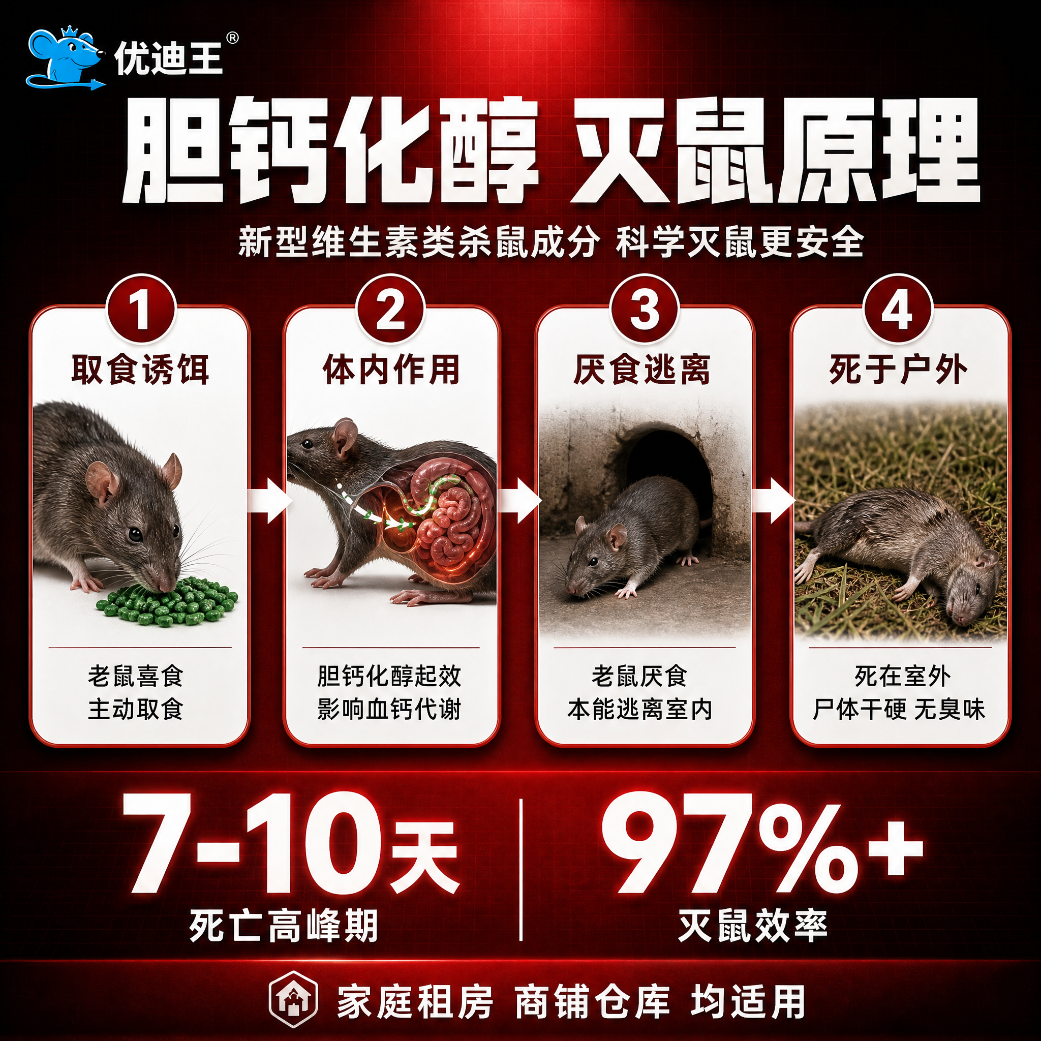 制作一张胆钙化醇灭鼠原理及流程图，与主图一致的深红黑配色风格，… - 图片创意预览