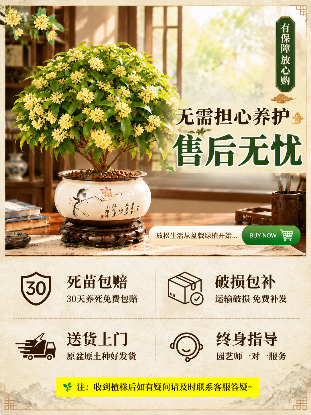 参考第二张图的售后图版式和风格，将第一张图的桂花盆栽作为主图，… - 图片创意预览