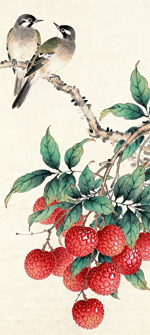 工笔重彩绘荔枝双鸟，水墨晕染间透出古典雅韵，水彩质感渲染果色鲜润，寓意丰收吉祥，尽显中式唯美意境。