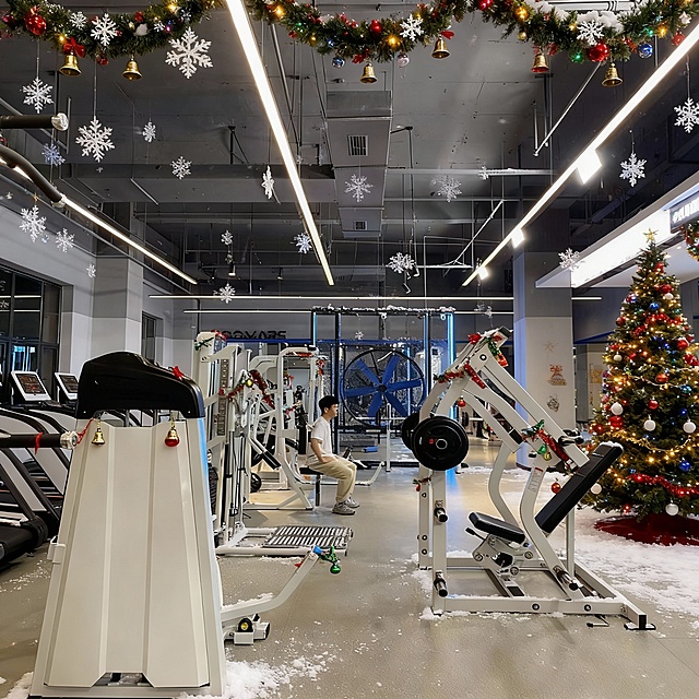 剩下的几张图片也生成一下圣诞特效
