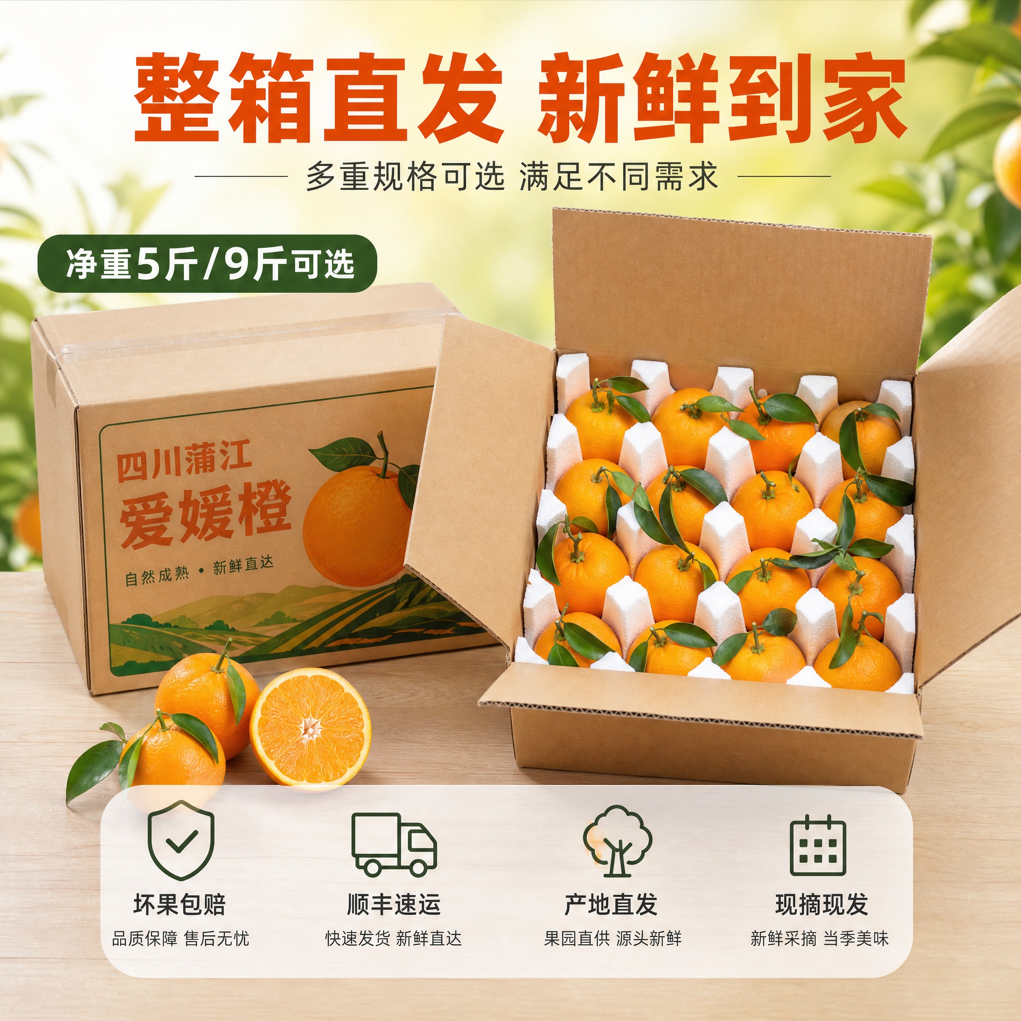 [主图-5] 四川蒲江爱媛橙 整箱规格与服务承诺 转化下单。… - 图片创意预览