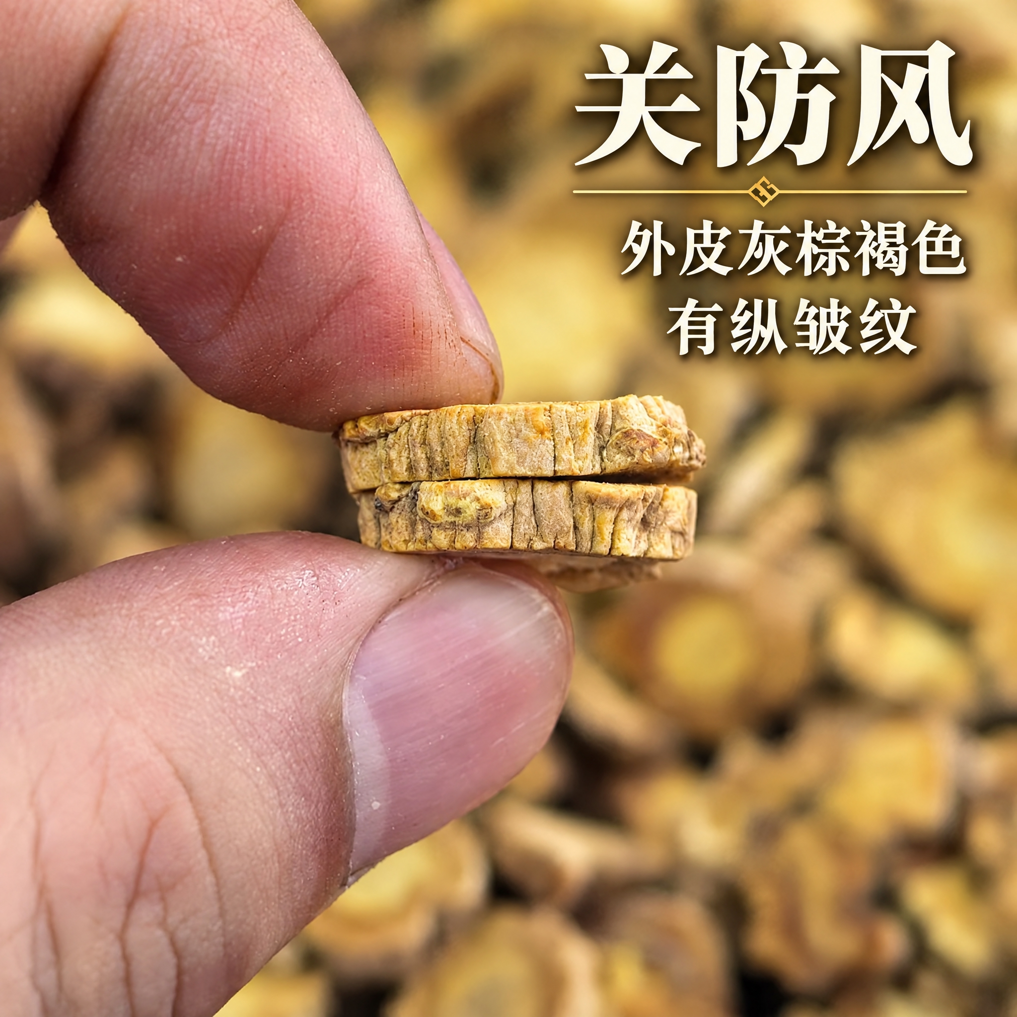 以上传的防风素材为基底制作中药材电商主图。严格保留原画面：手指… - 图片创意预览