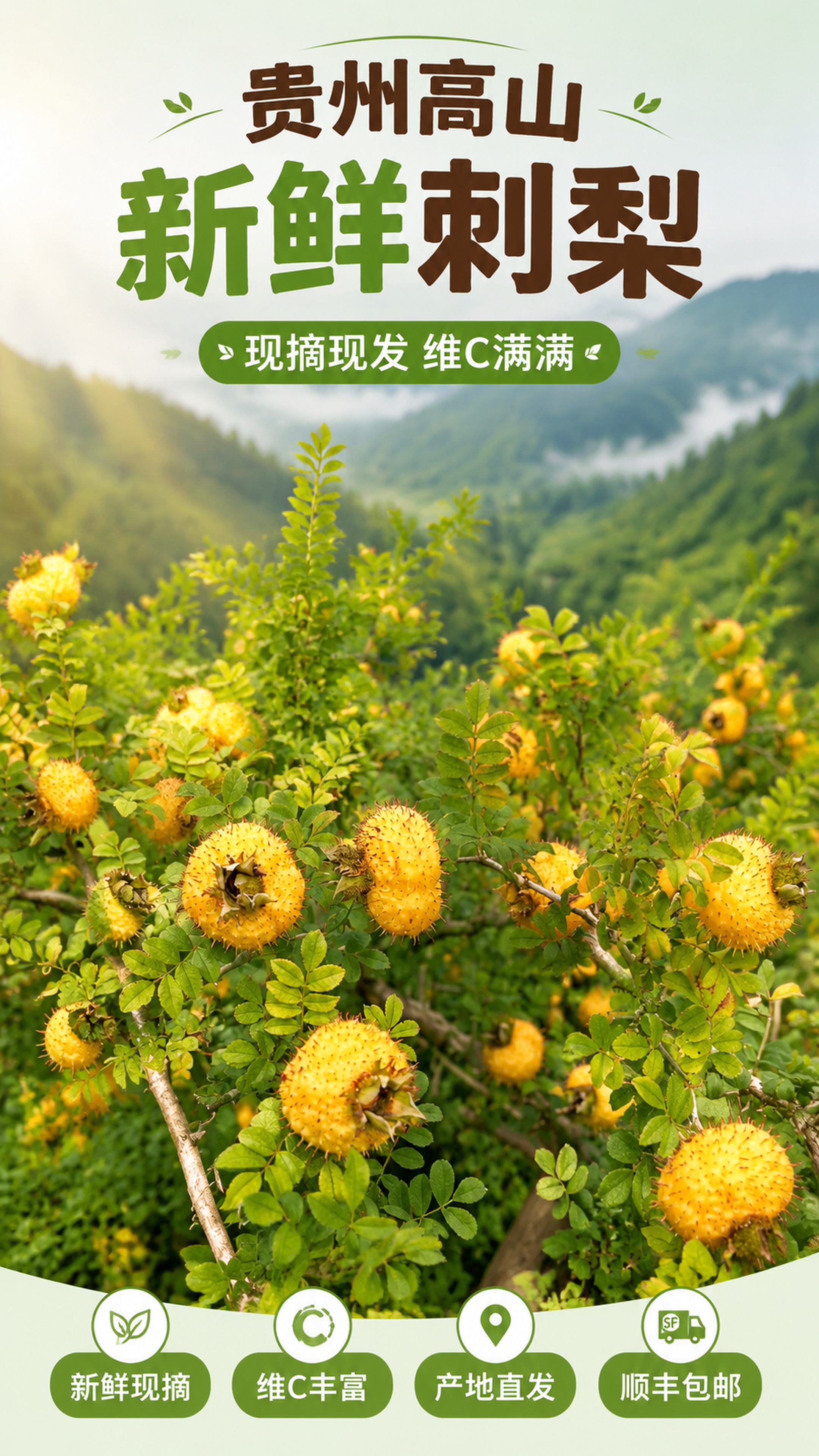 「图片1」，生成电商产品详情页，商品名称是贵州新鲜刺梨，卖点是… - 图片创意预览