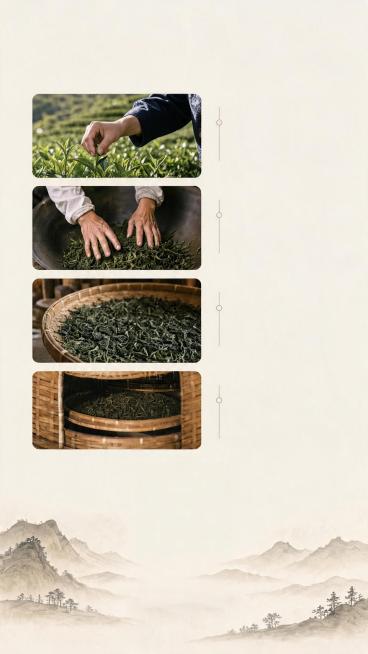 [第3屏] 传统工艺展示，笔架山好茶制茶工序介绍。
[氛围/风格] 自然质朴传统氛围，清晰通透摄影质感，保持整体新中式风格统一。
[元素布局] 页面顶部放大标题，下方纵向排列四个工艺步骤，每个步骤配对预览效果