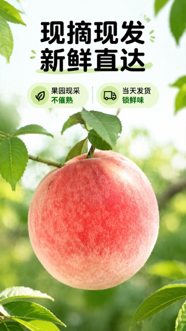 [第3屏] 核心卖点展示，突出平谷大桃现摘现发优势。本屏使用【图4】作为商品主体。
[氛围/风格] 简单清新风，真实自然，突出新鲜采摘的时效性，商业摄影质感。
[元素布局] 画面中心展示挂在枝头带枝叶预览效果