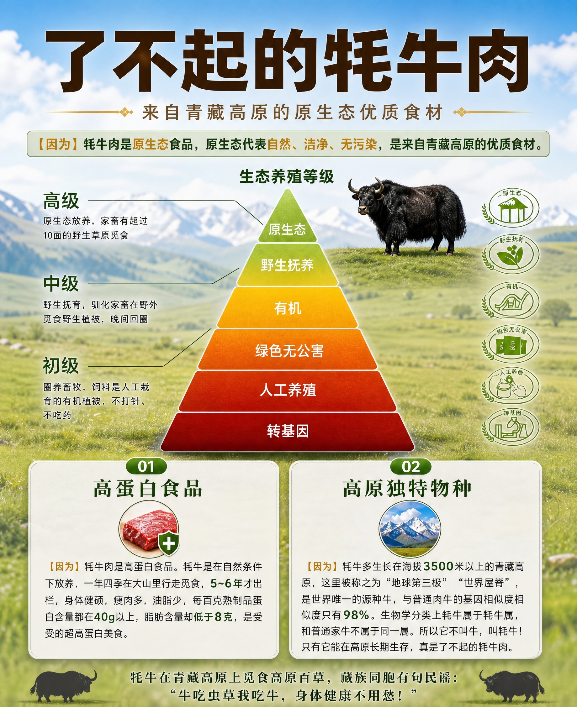 将参考图1的卡片改为草原自然写实风格，90*110mm竖版电商… - 图片创意预览