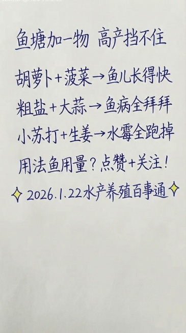 预览效果