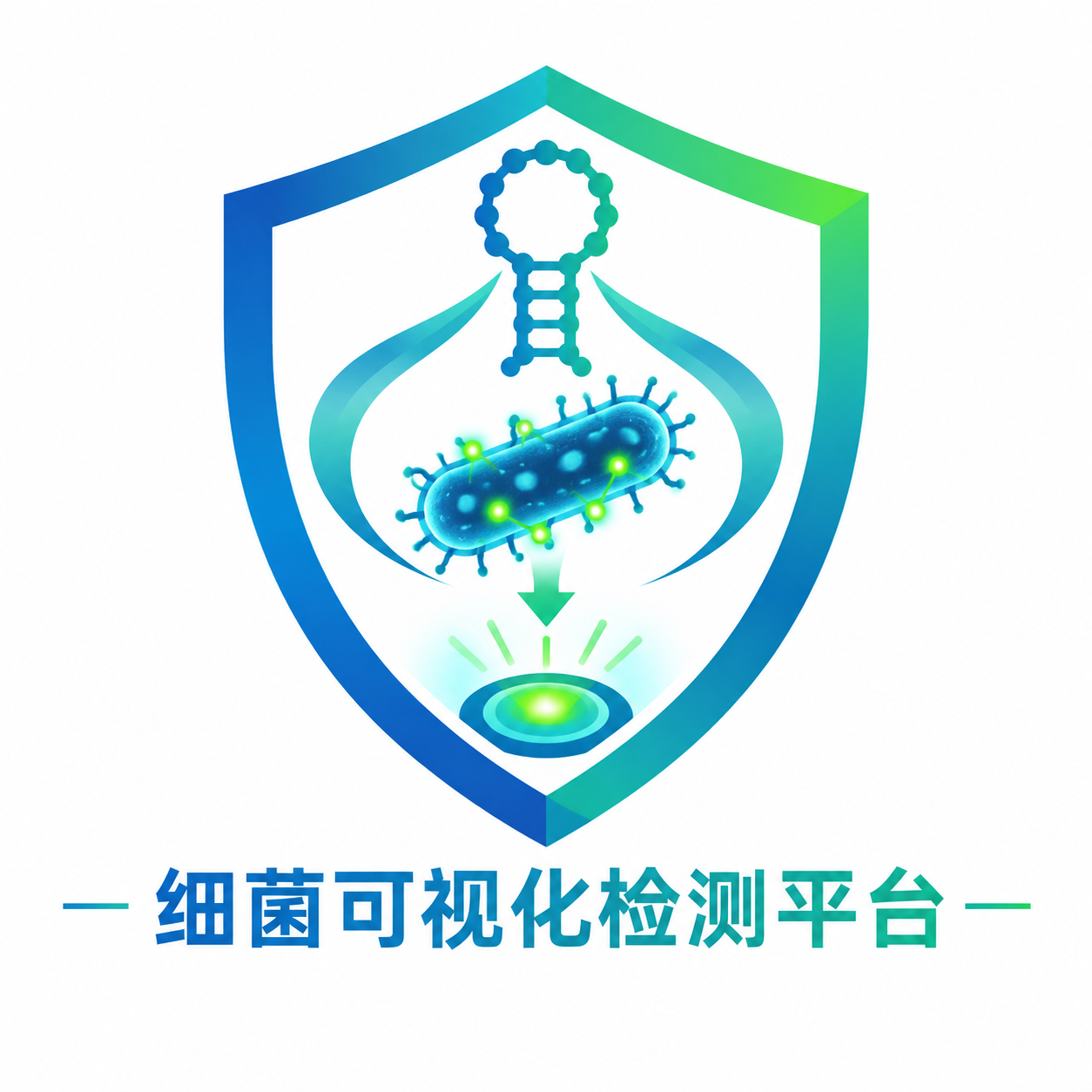 国创赛项目Logo设计，名称为细菌可视化检测平台。Logo以盾… - 图片创意预览