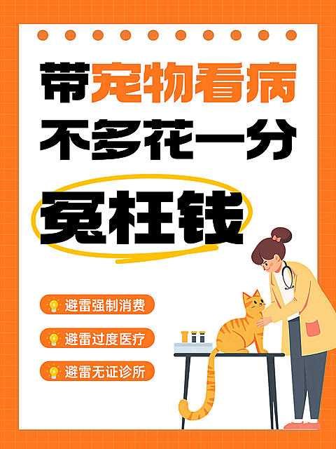 橙色扁平插画风宠物行业宠物看病指南小红书配图
