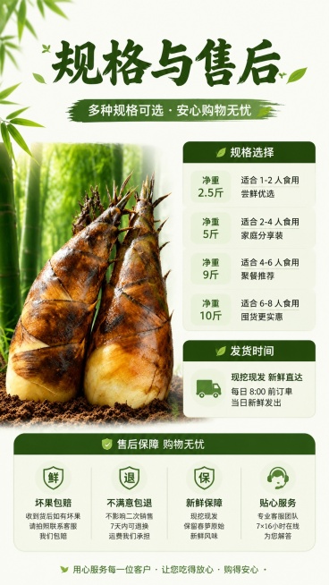 [第8屏] 规格信息收尾屏-展示规格选购与售后保障。本屏使用【图1】作为春笋商品主体。
[氛围/风格] 清晰规整信息风，简约收尾设计，易读可信。
[元素布局] 左侧放置完整春笋图，占比约40%；右侧排预览效果