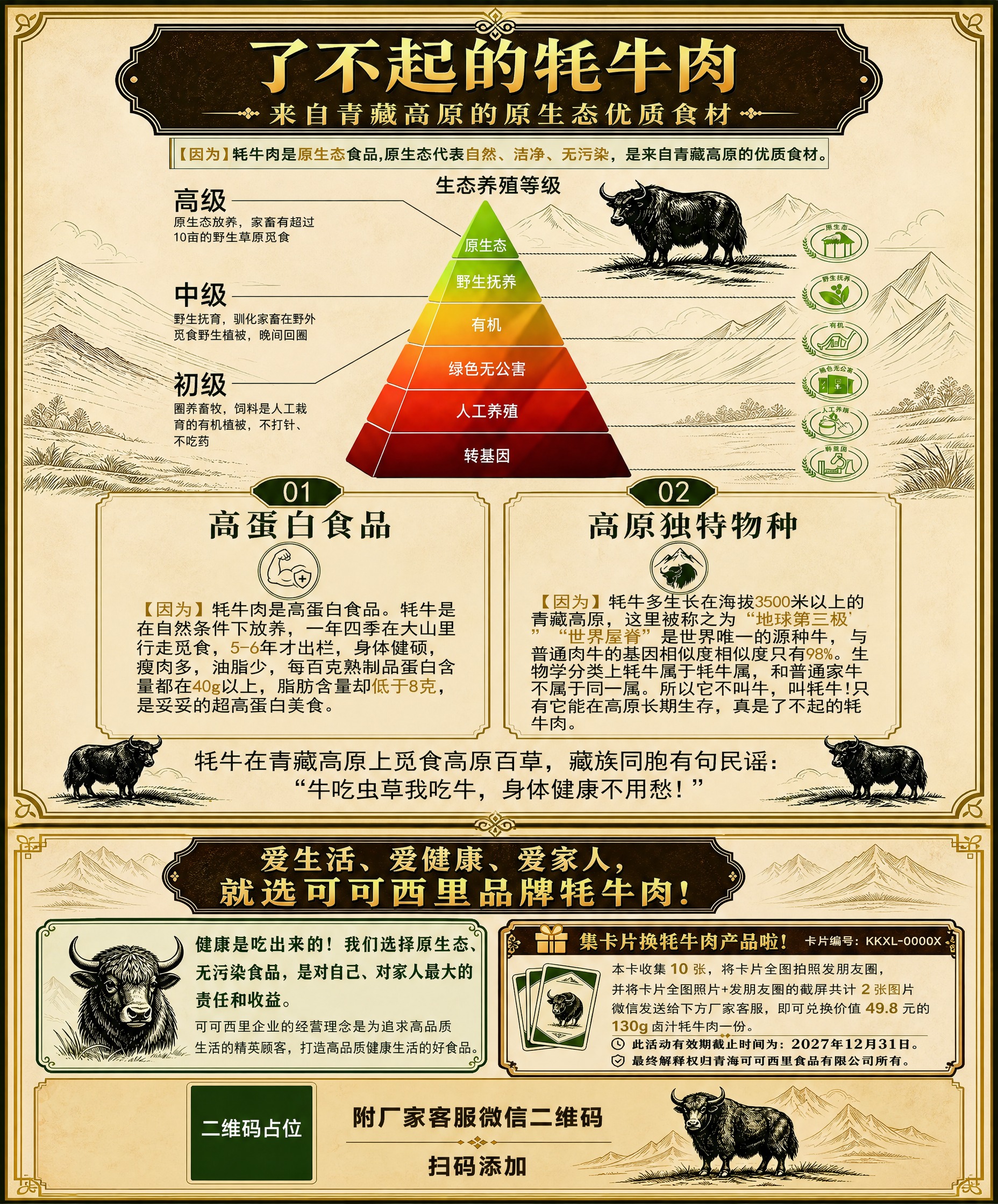 将两张牦牛肉宣传卡片的全部内容完整整合到同一竖版页面中，尺寸9… - 图片创意预览
