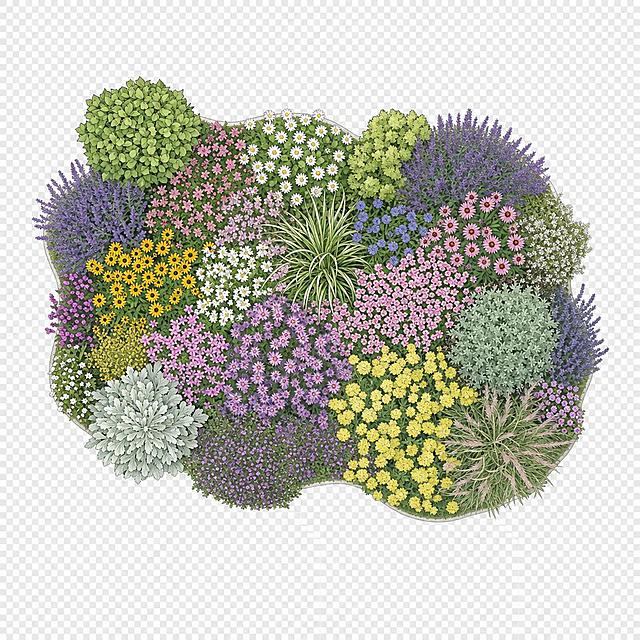 花镜俯视图，用于彩平图铺贴，透明背景，平面景观设计风格，俯视视角
