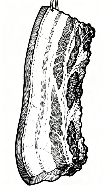风干五花肉线稿，使用0.4mm粗线勾勒轮廓，保留铜版雕刻痕迹，黑白色调，纯白背景，清晰干净的线条预览效果