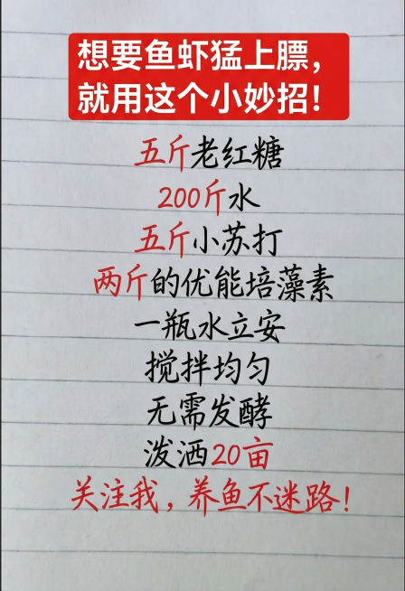 模仿参考图的风格，背景为带横线的米白色纸张，顶部红底白字标题写“想要鱼虾猛上膘，就用这个小妙招！”，下方黑色手写字体依次写：五斤老红糖，200斤水，五斤小苏打，两斤的优能培藻素，一瓶水立安，搅拌均匀，预览效果
