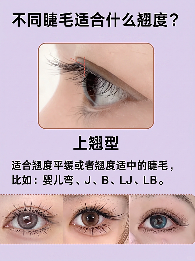 将图片的底色改为柔和的浅紫色，保持所有文字内容不变，将所有文字颜色修改为黑色，保留原图的图片和排版