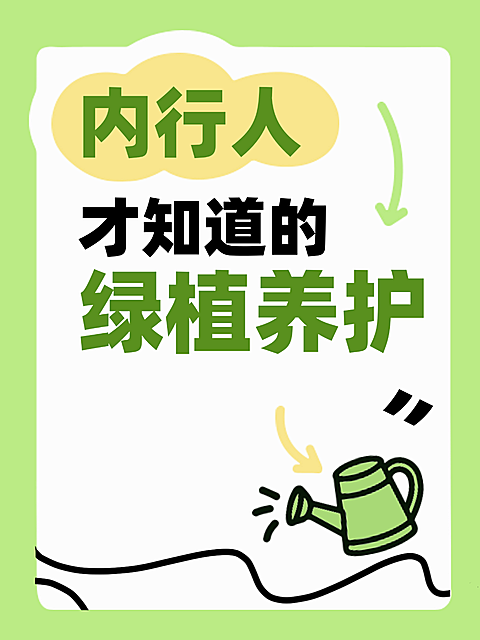 绿植养护