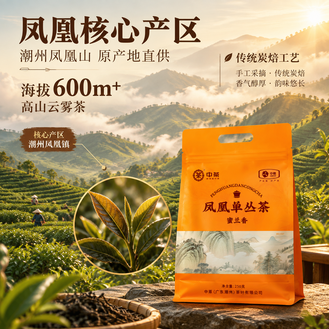 [主图-2 产地溯源] 中茶凤凰单丛茶蜜兰香 产地溯源信任型主… - 图片创意预览