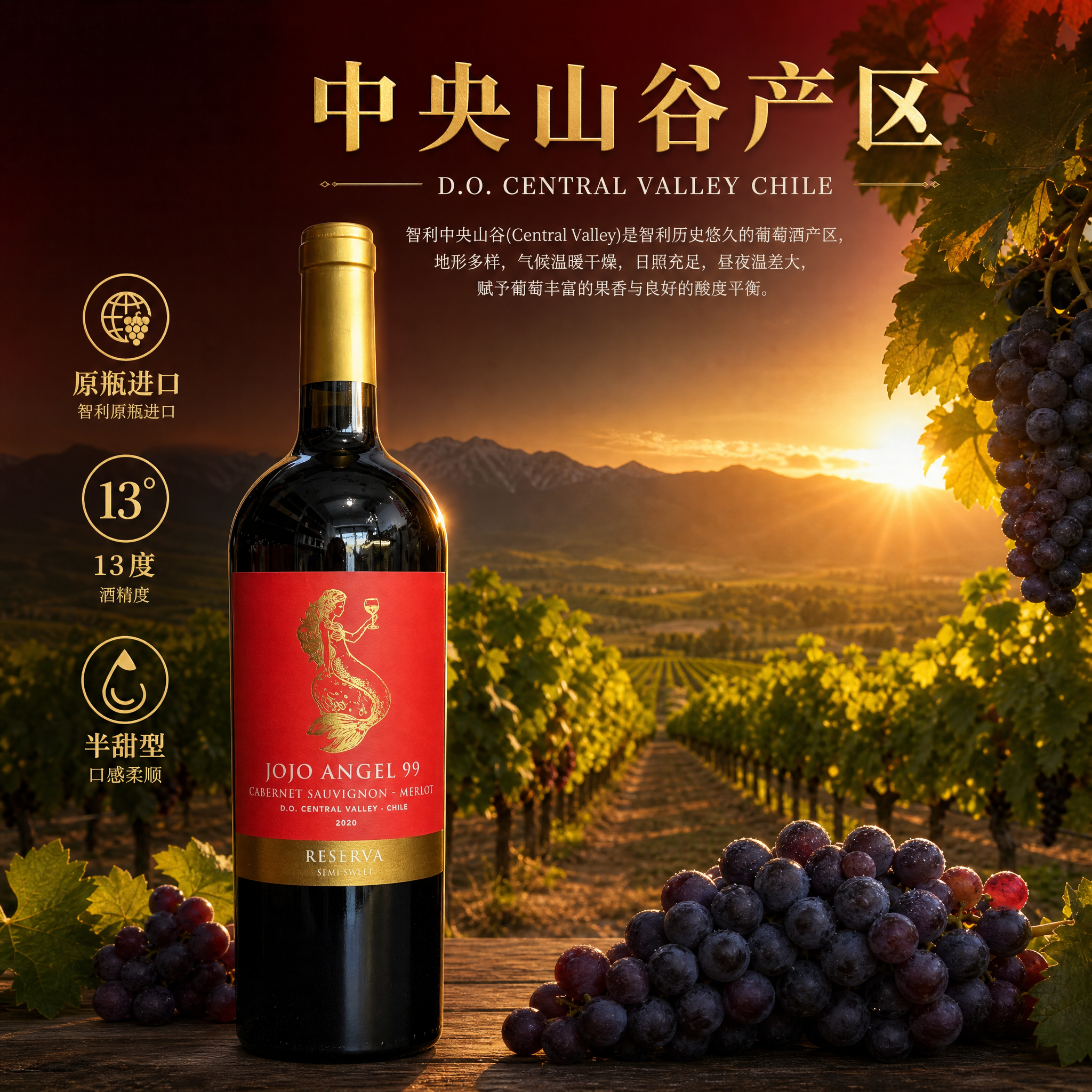 [主图-2] 产地溯源图，突出智利中央山谷产区核心卖点，建立品… - 图片创意预览