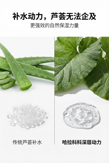 极简杂志对比图表排版，无产品。画面垂直分割，左侧为芦荟叶片和普通透明颗粒，文字标注“传统芦荟补水”；右侧为巨大的哈拉科科叶片和更浓缩、密集的透明胶质液滴，文字标注“哈拉科科深层动力”。主标题："补水动预览效果