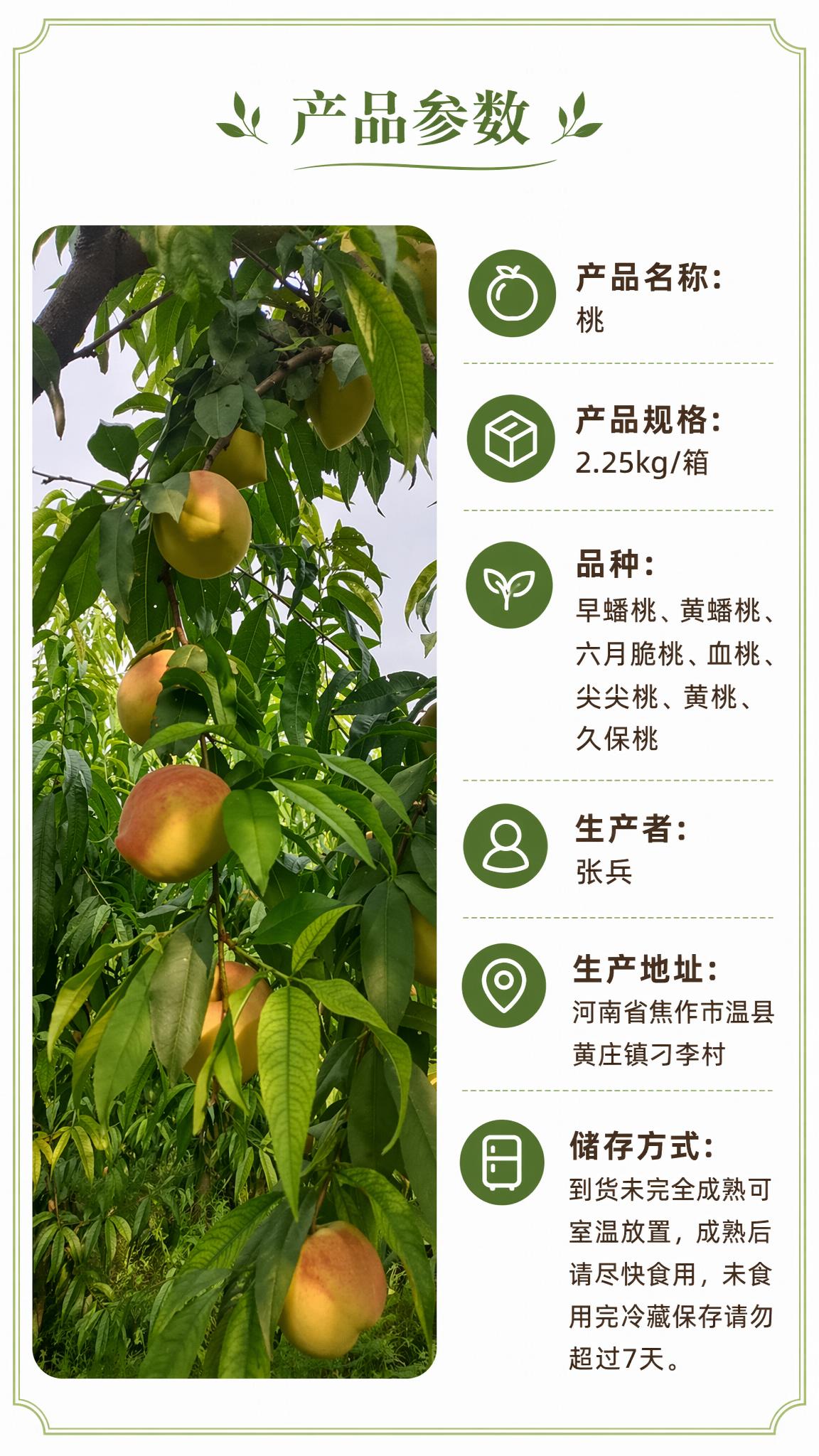 [第6屏] 产品参数信息展示。左侧图片替换为您上传的桃园枝头挂… - 图片创意预览