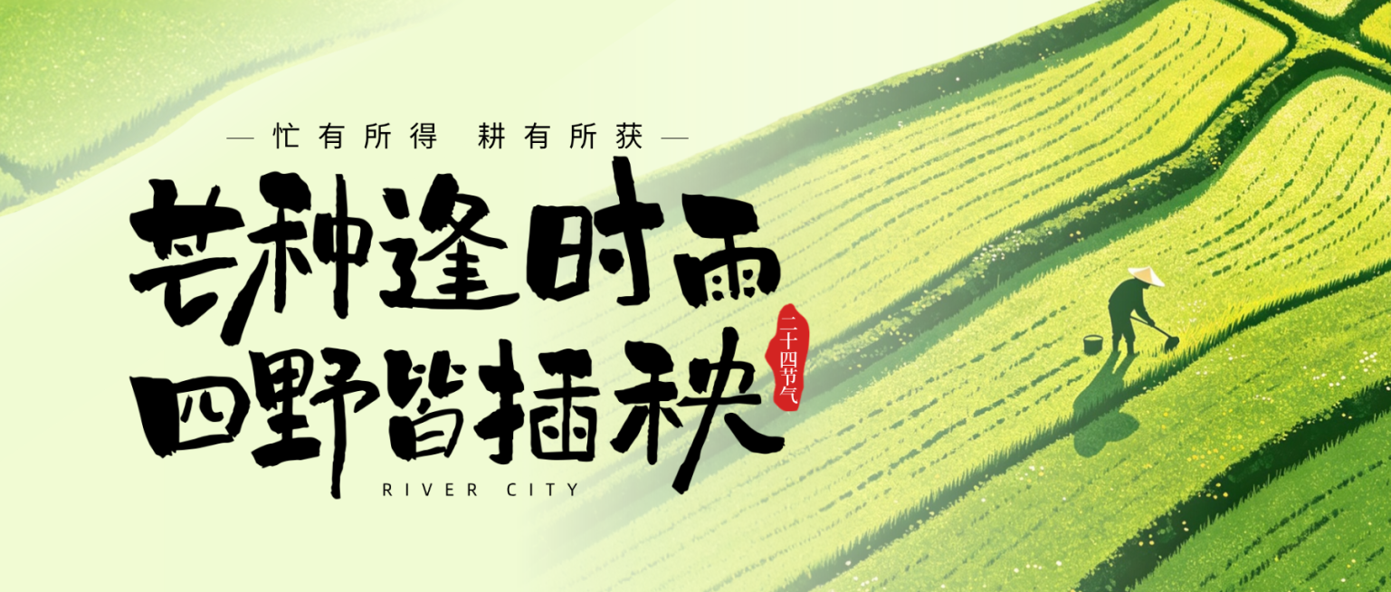 芒种节气祝福通用清新实景风微信公众号首图预览效果