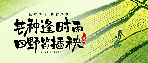 芒种节气祝福通用清新实景风微信公众号首图