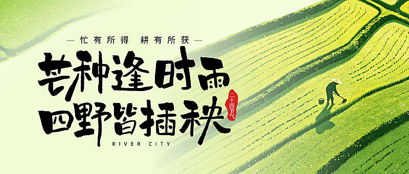 芒种节气祝福通用清新实景风微信公众号首图