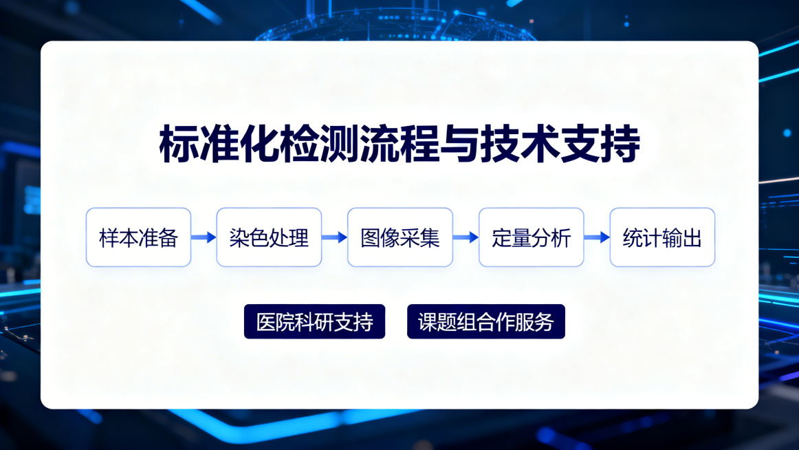 白色背景，科技蓝与深蓝排版，标题“标准化检测流程与技术支持”，五步骤横向流程模块“样本准备”“染色处理”“图像采集”“定量分析”“统计输出”，下方标签“医院科研支持”“课题组合作服务”，企业级技术视觉预览效果