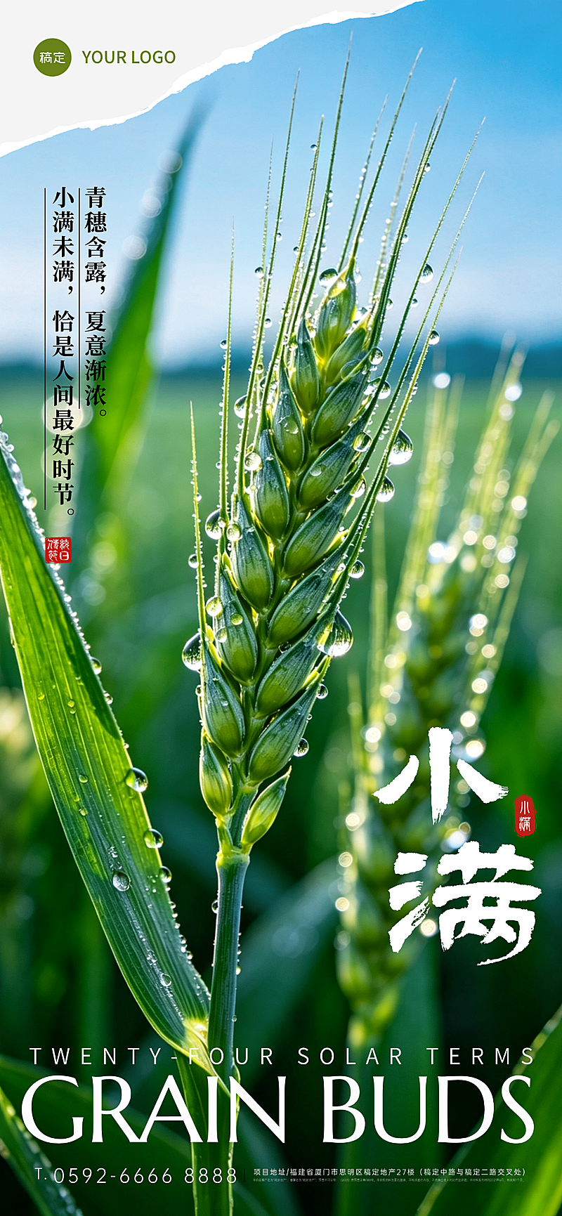 小满二十四节气全屏竖版海报