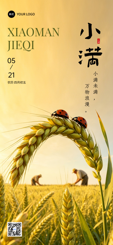 521小满节气祝福麦田人物实景竖版全屏海报预览效果