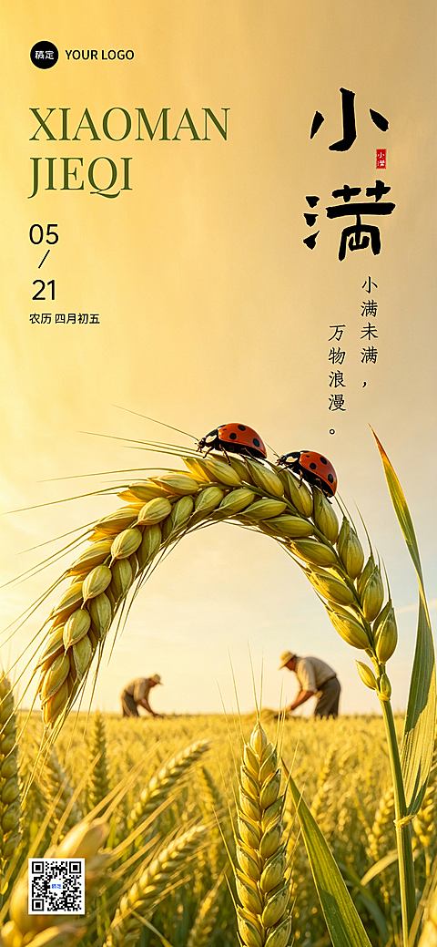 521小满节气祝福麦田人物实景竖版全屏海报