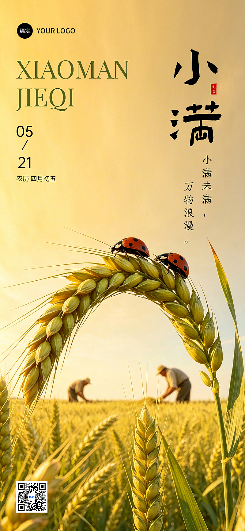 521小满节气祝福麦田人物实景竖版全屏海报