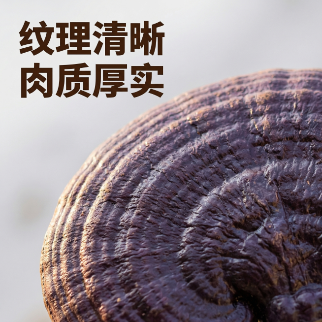 [主图 3] 长白山紫灵芝细节特写
[氛围/风格] 质感突出，微距细节清晰，自然温润光影
[画面元素] 保持原图紫灵芝材质特征不变，微距放大展示紫灵芝表面纹理，突出紫灵芝厚实饱满的质地，背景做虚化处理预览效果