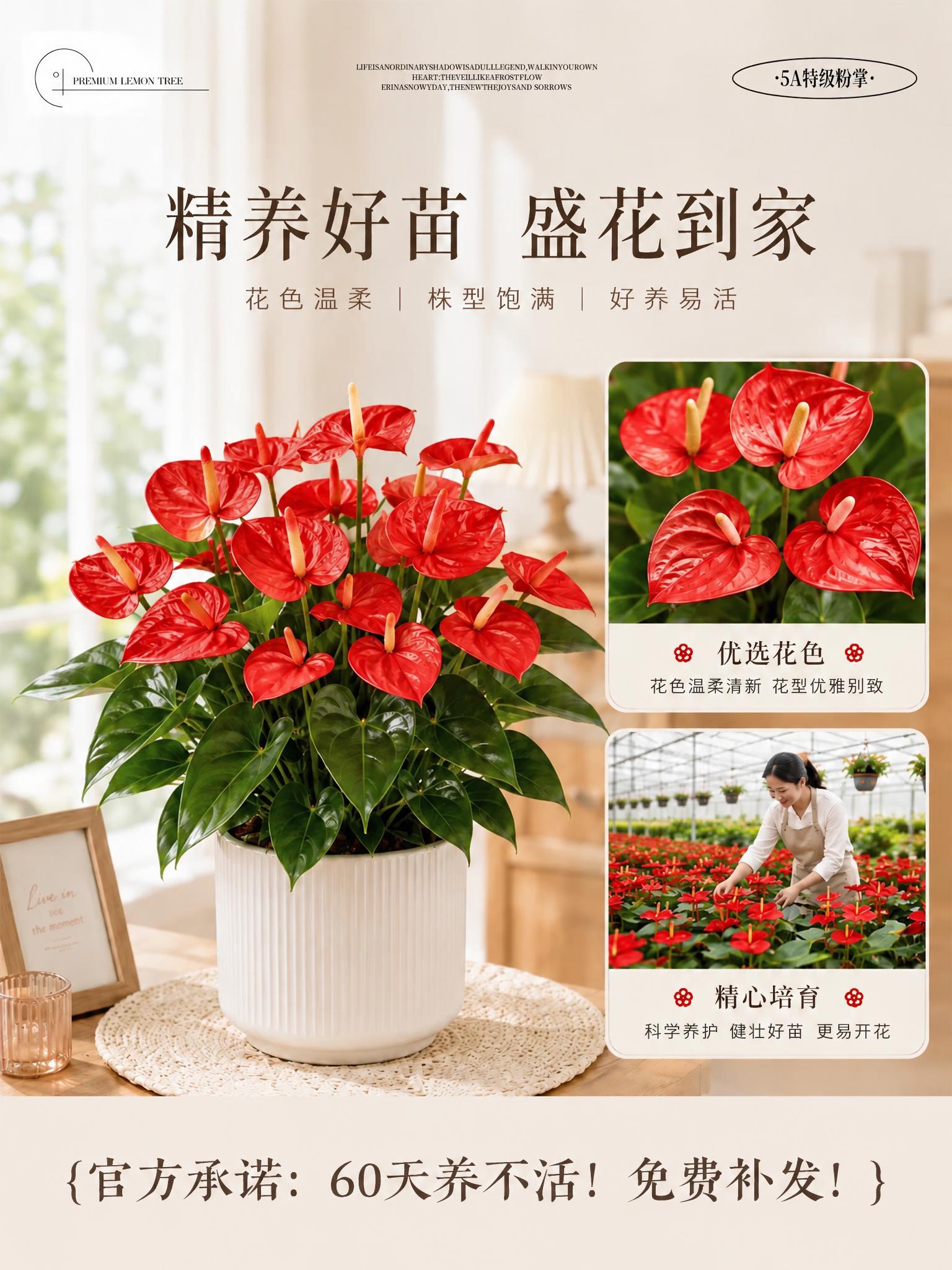 将图中所有粉色的花朵、粉色装饰元素、粉色文字、粉色图标、粉色背… - 图片创意预览