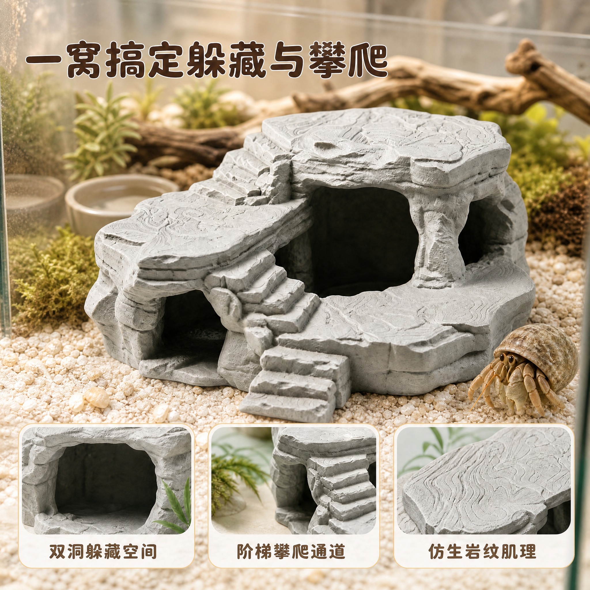 图生图背景替换：只把产品所在地面与背景换成真实的寄居蟹饲养箱内… - 图片创意预览