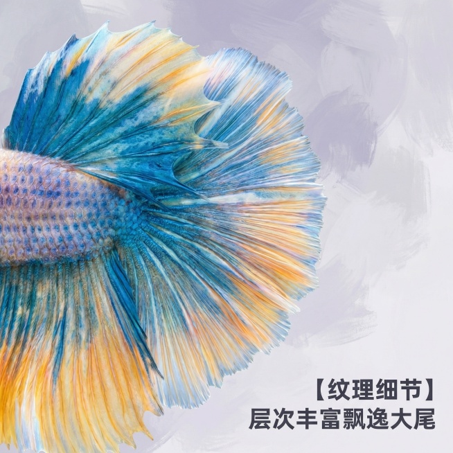 [主图 3] 泰国半月斗鱼纹理细节特写，融合梵高莫奈混合艺术风格
[氛围风格] 艺术质感细节展示，高级水族观赏鱼氛围
[画面元素] 商业摄影质感、光线柔和通透、产品清晰真实、画面干净高级。保留原图斗鱼预览效果