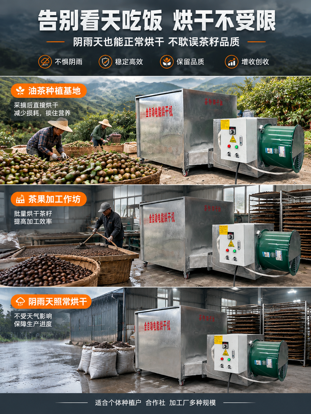 [详情页-3] 场景适配，油茶种植与茶果加工多场景展示，说明产… - 图片创意预览