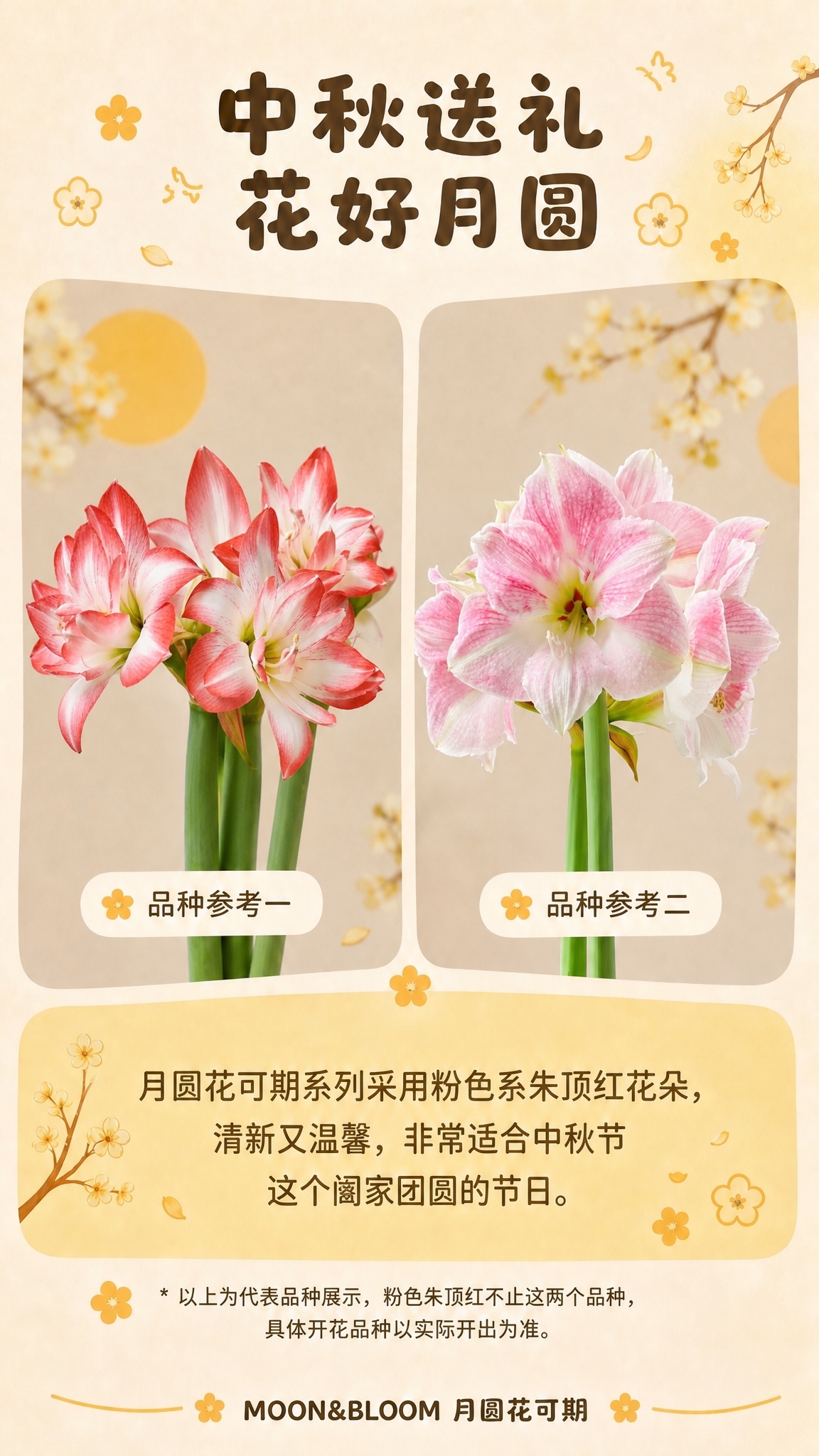 修改这张中秋送礼花好月圆的商详页，将两个品种参考的花朵替换为用… - 图片创意预览