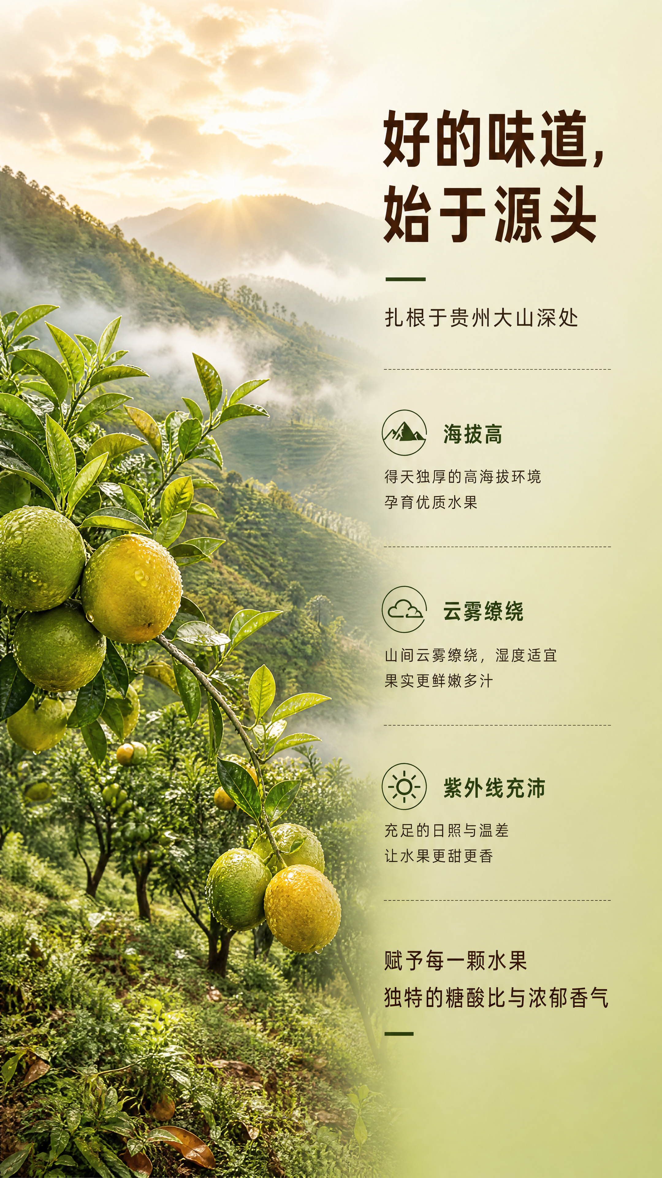 [第2张] 品牌初心页 — 扎根贵州大山，产地优势介绍。 [氛… - 图片创意预览