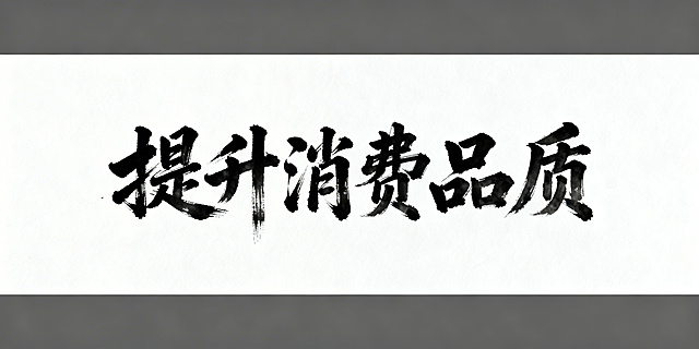 白色背景，中国传统书法字体写着黑色的“提升消费品质”六个字，笔触苍劲有力，墨色浓淡自然，带有书法毛笔书写的纹理质感，整体画面干净整洁