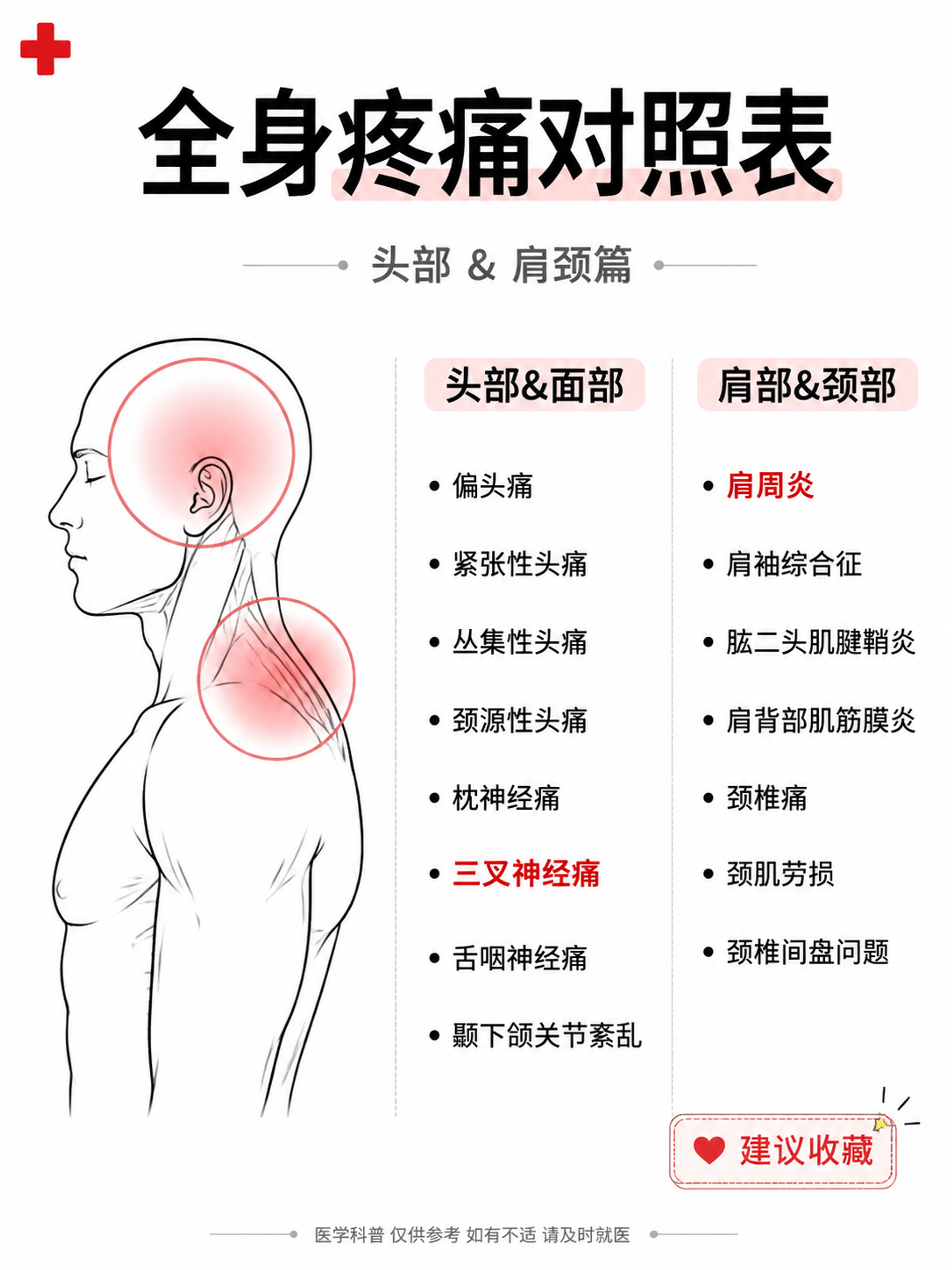小红书科普配图，白底分栏清单风格，ins清新医学风，版式精美，… - 图片创意预览