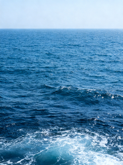 广阔的蓝色大海，海浪翻涌，海面波光粼粼，远处与天际线相接预览效果