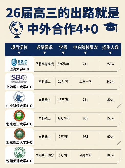 将海报改成简约风格，保持原有所有文字内容和表格信息不变，保持比例3：4预览效果