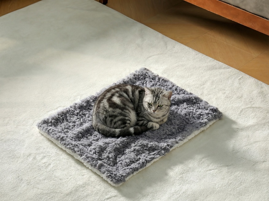 在毯子上加一只灰色狸花猫，其他不变预览效果